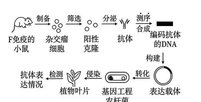 2026年江西省  生物学高考真题 文后附下载链接-第2张图片-四季读书网