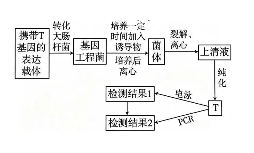 2026年江西省  生物学高考真题 文后附下载链接-第4张图片-四季读书网