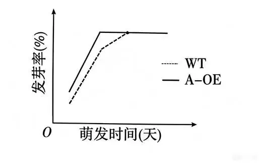 2026年江西省  生物学高考真题 文后附下载链接-第6张图片-四季读书网