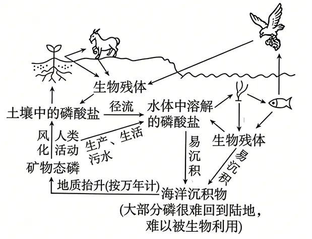 2026年江西省  生物学高考真题 文后附下载链接-第7张图片-四季读书网