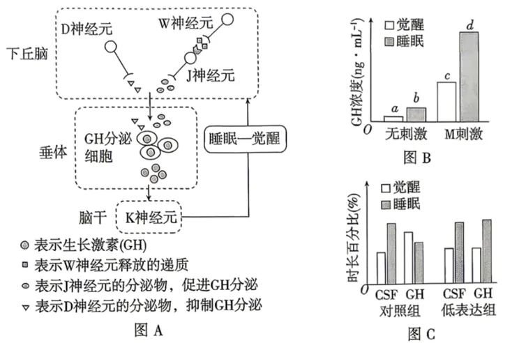 2026年江西省  生物学高考真题 文后附下载链接-第9张图片-四季读书网