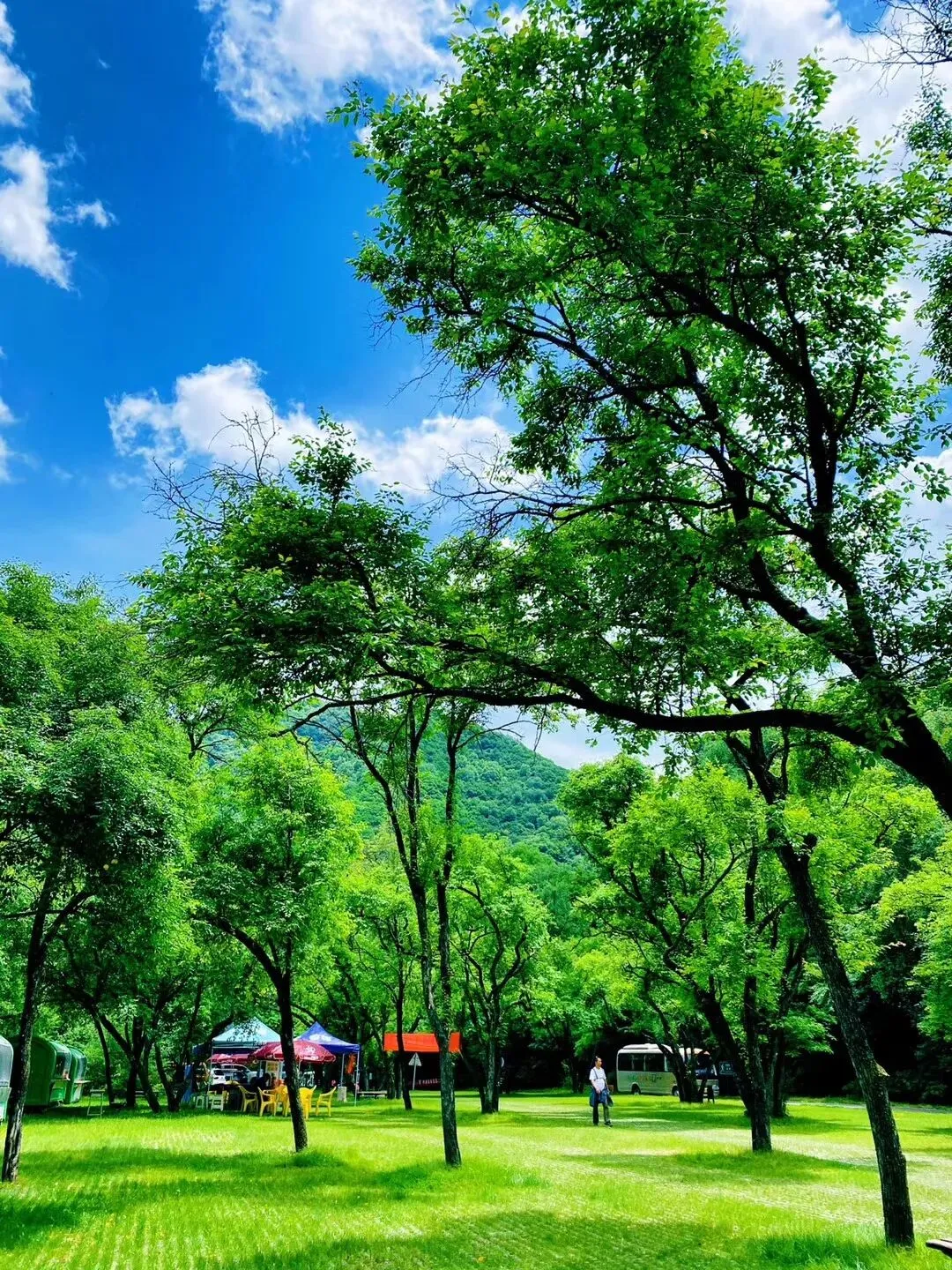 高考放分释压力,中考蓄力启新程|来六盘山赴一场青春之旅-第23张图片-四季读书网