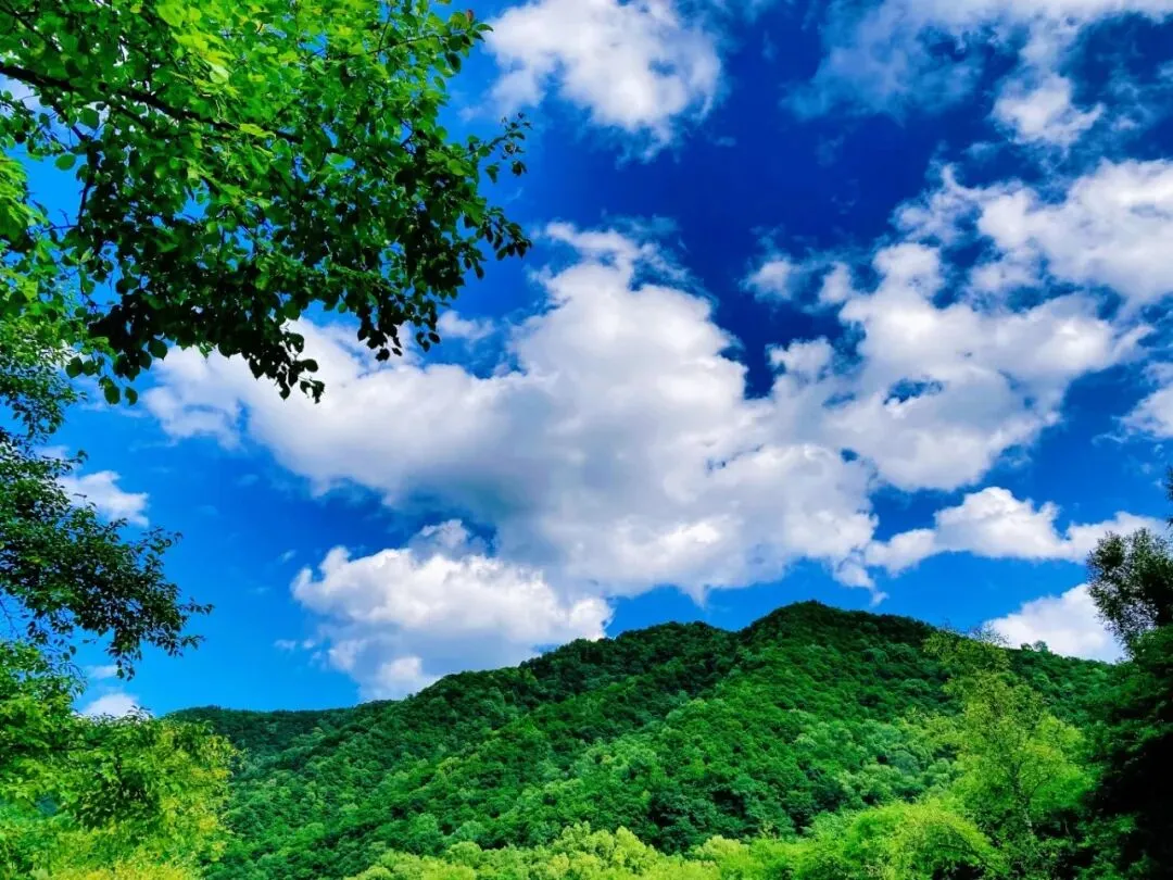高考放分释压力,中考蓄力启新程|来六盘山赴一场青春之旅-第29张图片-四季读书网
