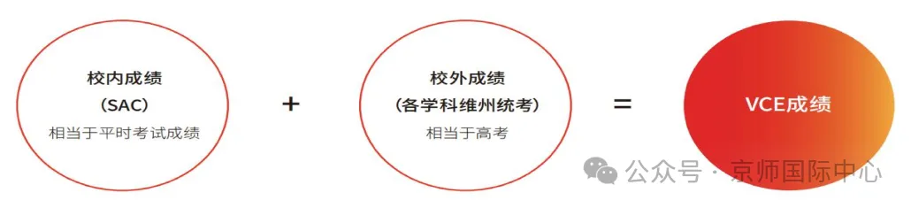 中考后转国际赛道,英语跟不上怎么办?-第12张图片-四季读书网