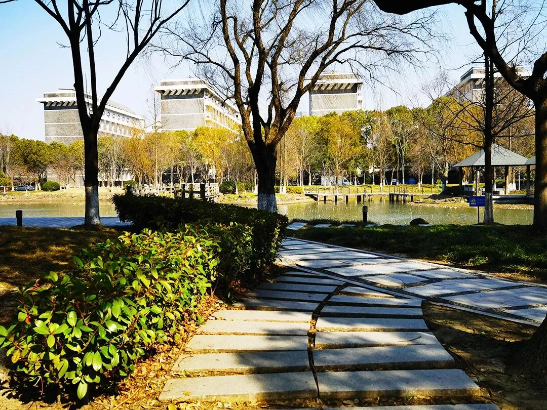 深圳四年级下学期期末真题合集(2026年更新)-第9张图片-四季读书网