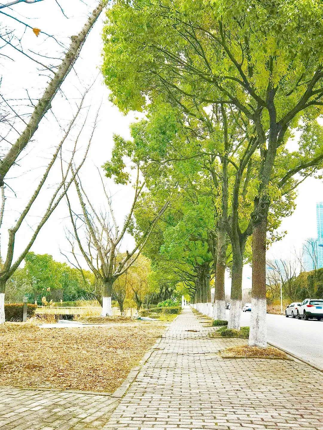 深圳四年级下学期期末真题合集(2026年更新)-第10张图片-四季读书网