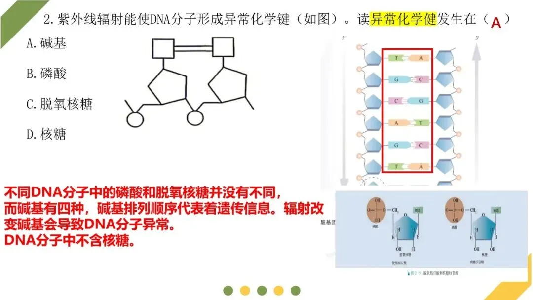 2026高考生物广东卷试卷评讲课件-第7张图片-四季读书网