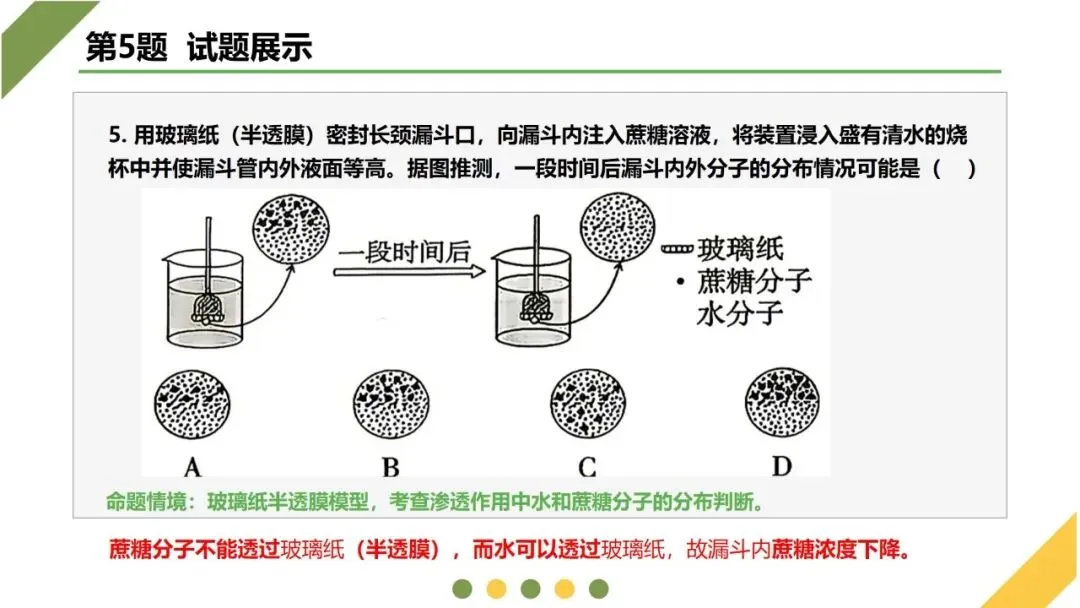 2026高考生物广东卷试卷评讲课件-第13张图片-四季读书网