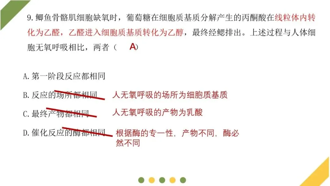 2026高考生物广东卷试卷评讲课件-第39张图片-四季读书网