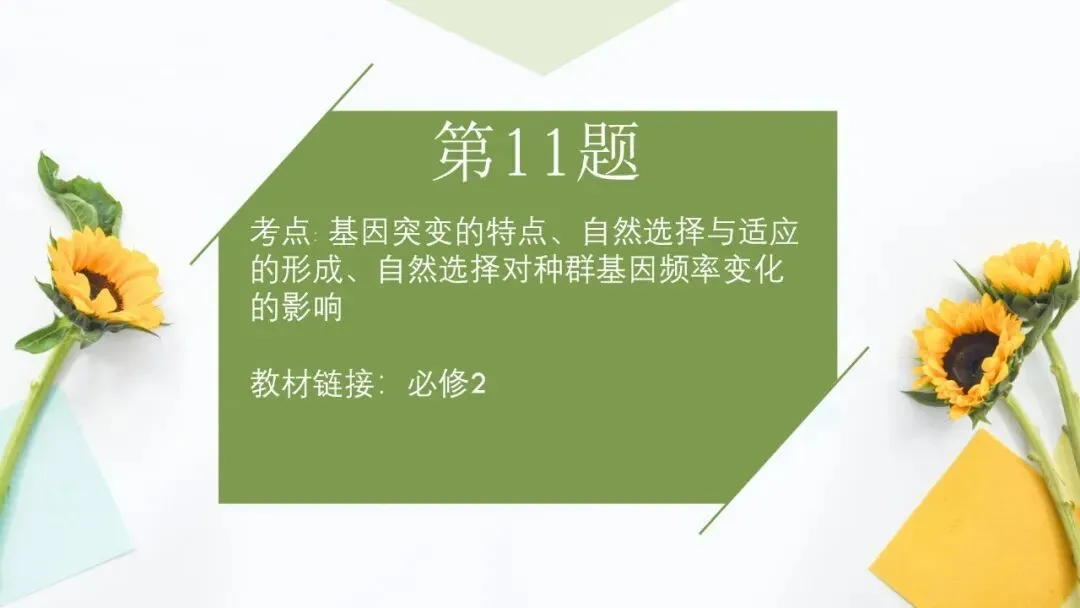 2026高考生物广东卷试卷评讲课件-第42张图片-四季读书网