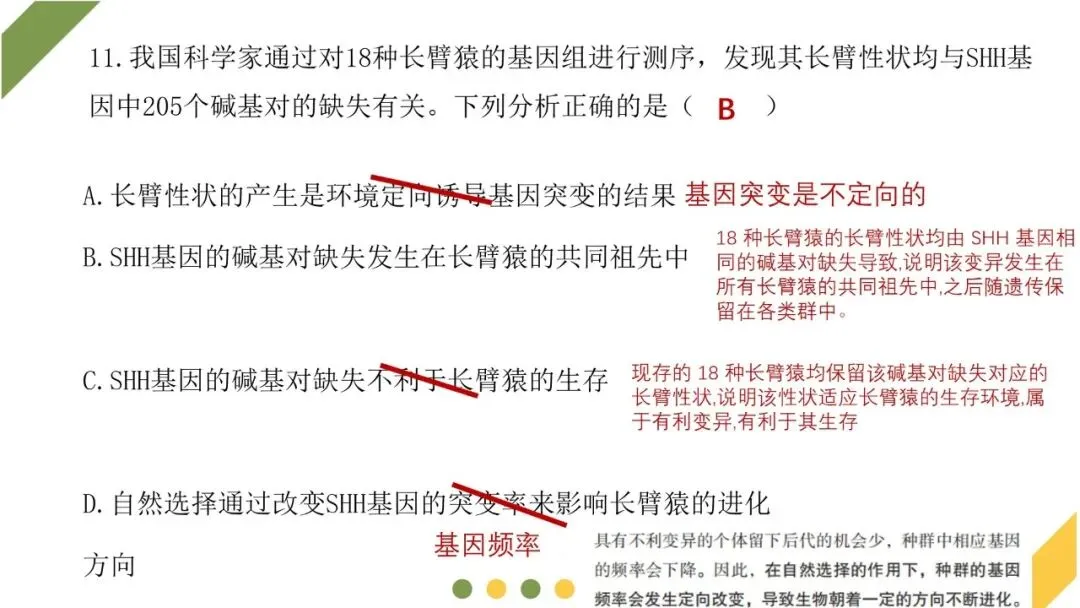 2026高考生物广东卷试卷评讲课件-第43张图片-四季读书网