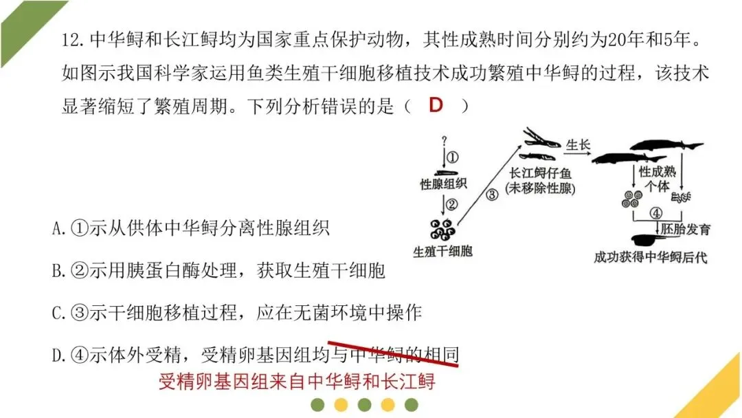 2026高考生物广东卷试卷评讲课件-第45张图片-四季读书网
