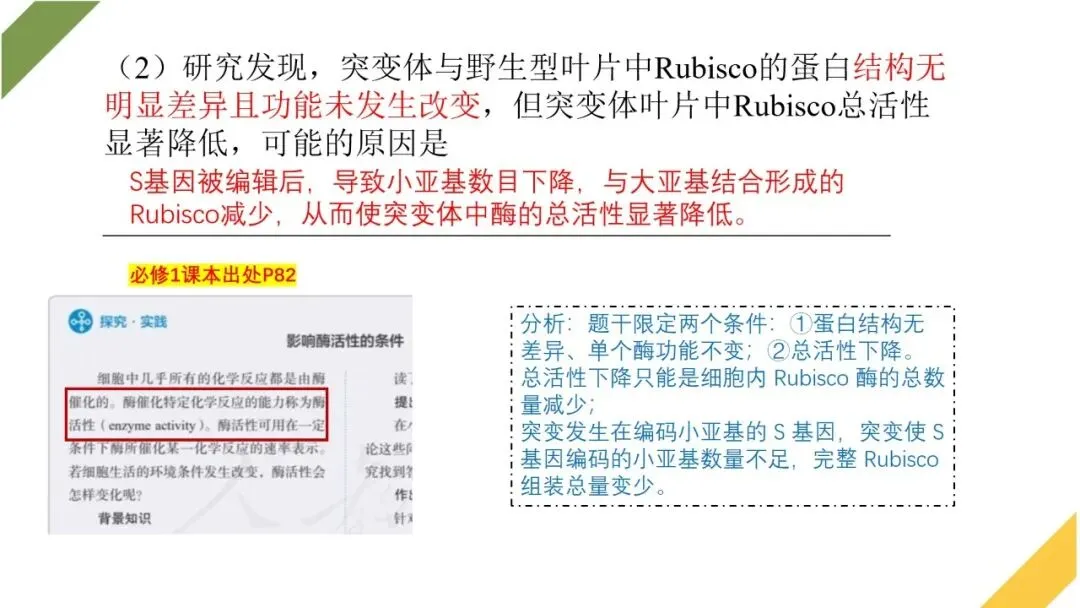 2026高考生物广东卷试卷评讲课件-第56张图片-四季读书网