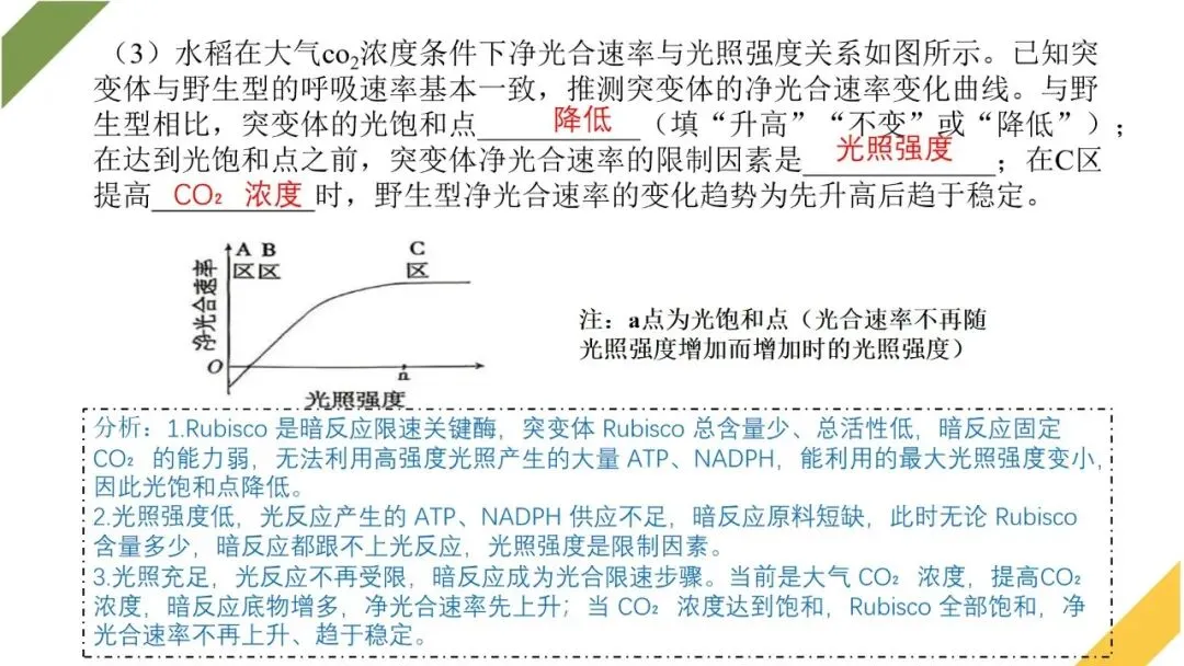 2026高考生物广东卷试卷评讲课件-第57张图片-四季读书网