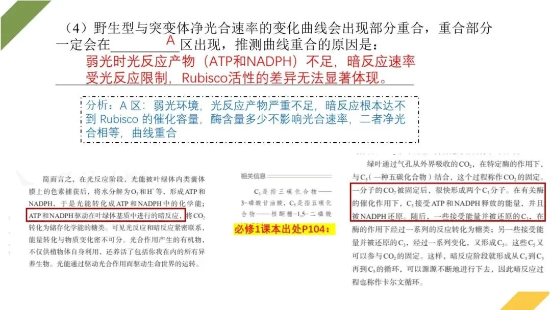 2026高考生物广东卷试卷评讲课件-第58张图片-四季读书网