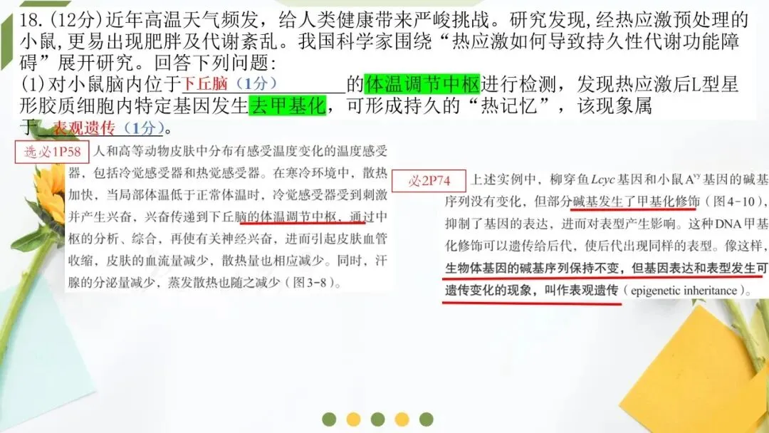 2026高考生物广东卷试卷评讲课件-第60张图片-四季读书网
