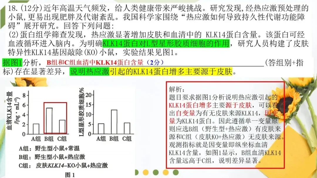 2026高考生物广东卷试卷评讲课件-第61张图片-四季读书网