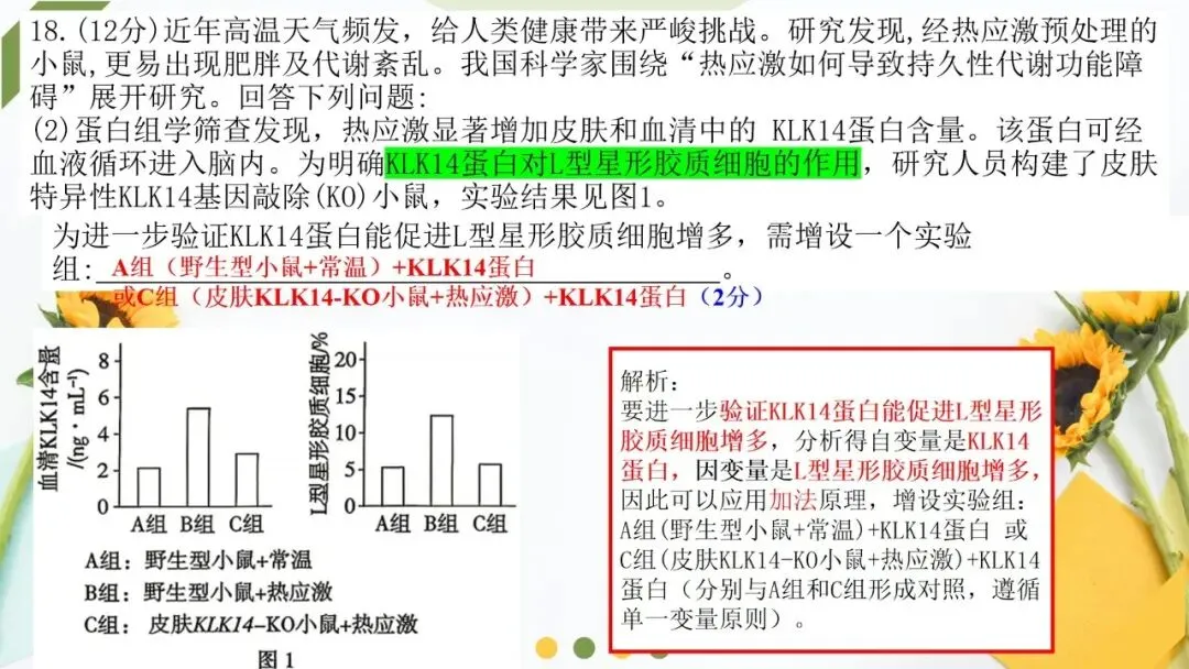 2026高考生物广东卷试卷评讲课件-第62张图片-四季读书网
