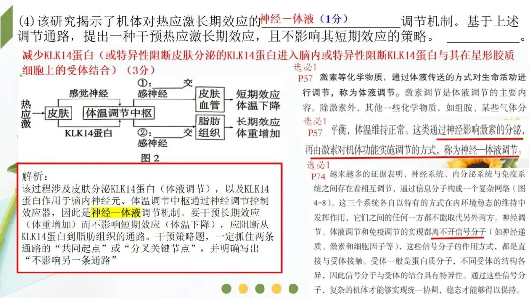 2026高考生物广东卷试卷评讲课件-第64张图片-四季读书网