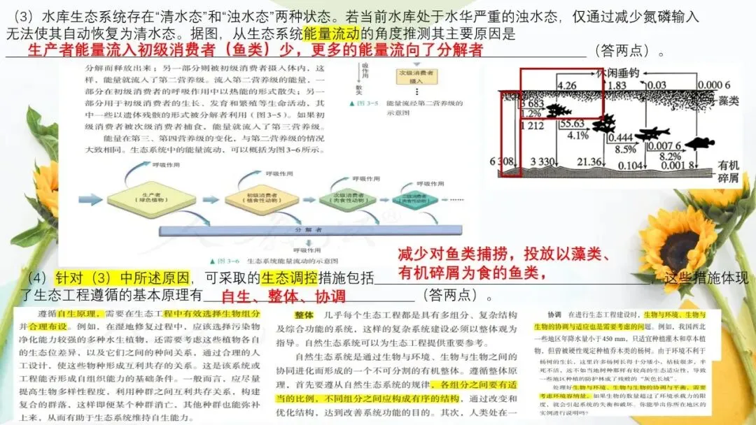 2026高考生物广东卷试卷评讲课件-第67张图片-四季读书网