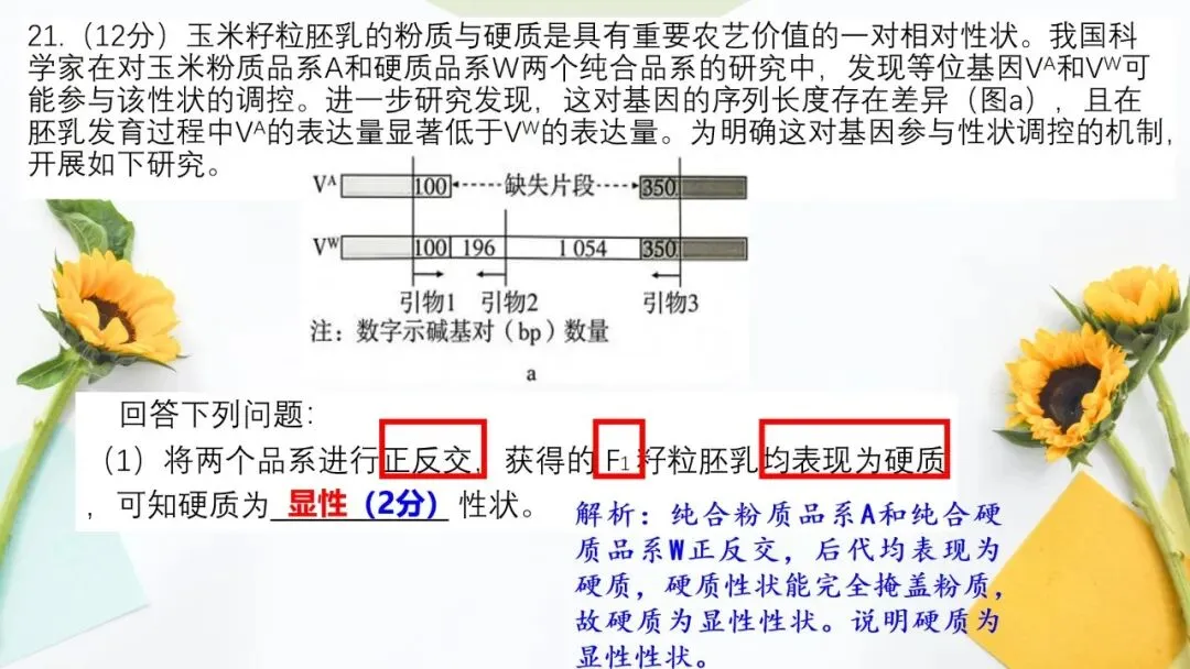 2026高考生物广东卷试卷评讲课件-第73张图片-四季读书网