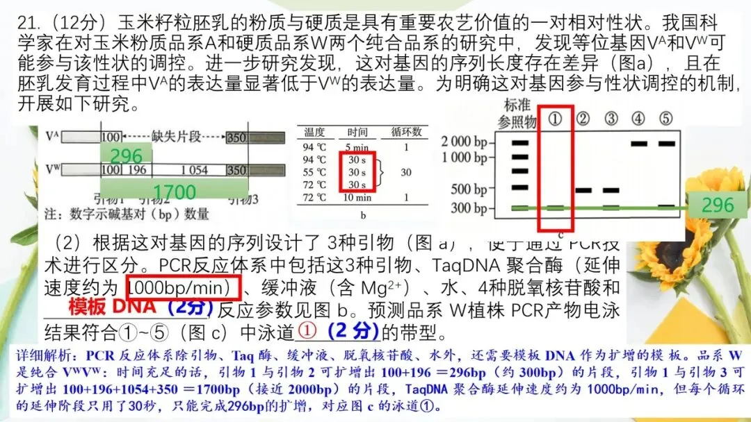 2026高考生物广东卷试卷评讲课件-第74张图片-四季读书网