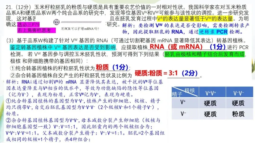 2026高考生物广东卷试卷评讲课件-第75张图片-四季读书网