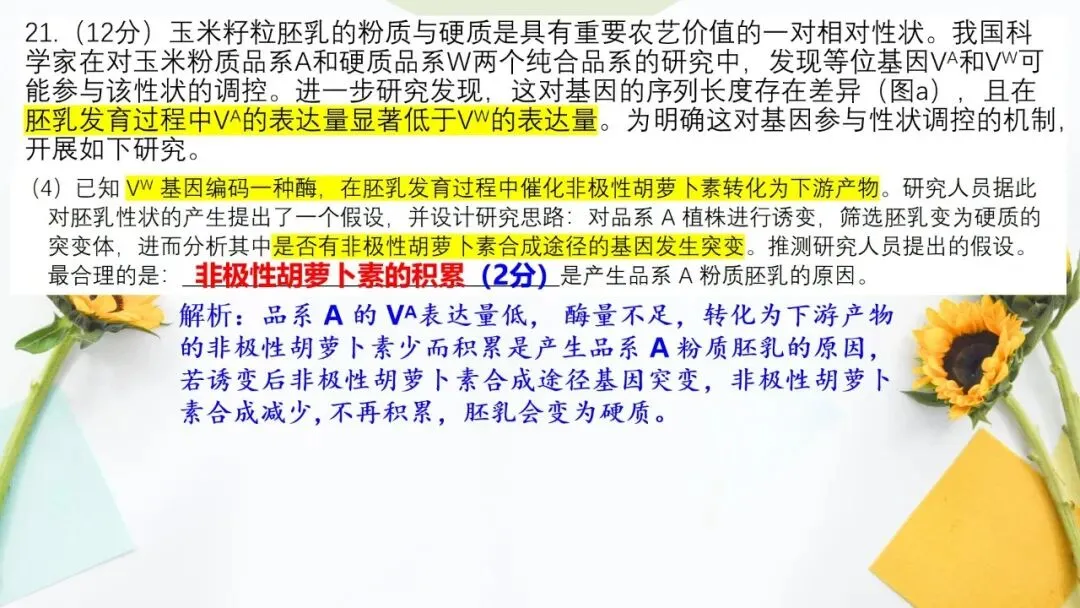 2026高考生物广东卷试卷评讲课件-第76张图片-四季读书网