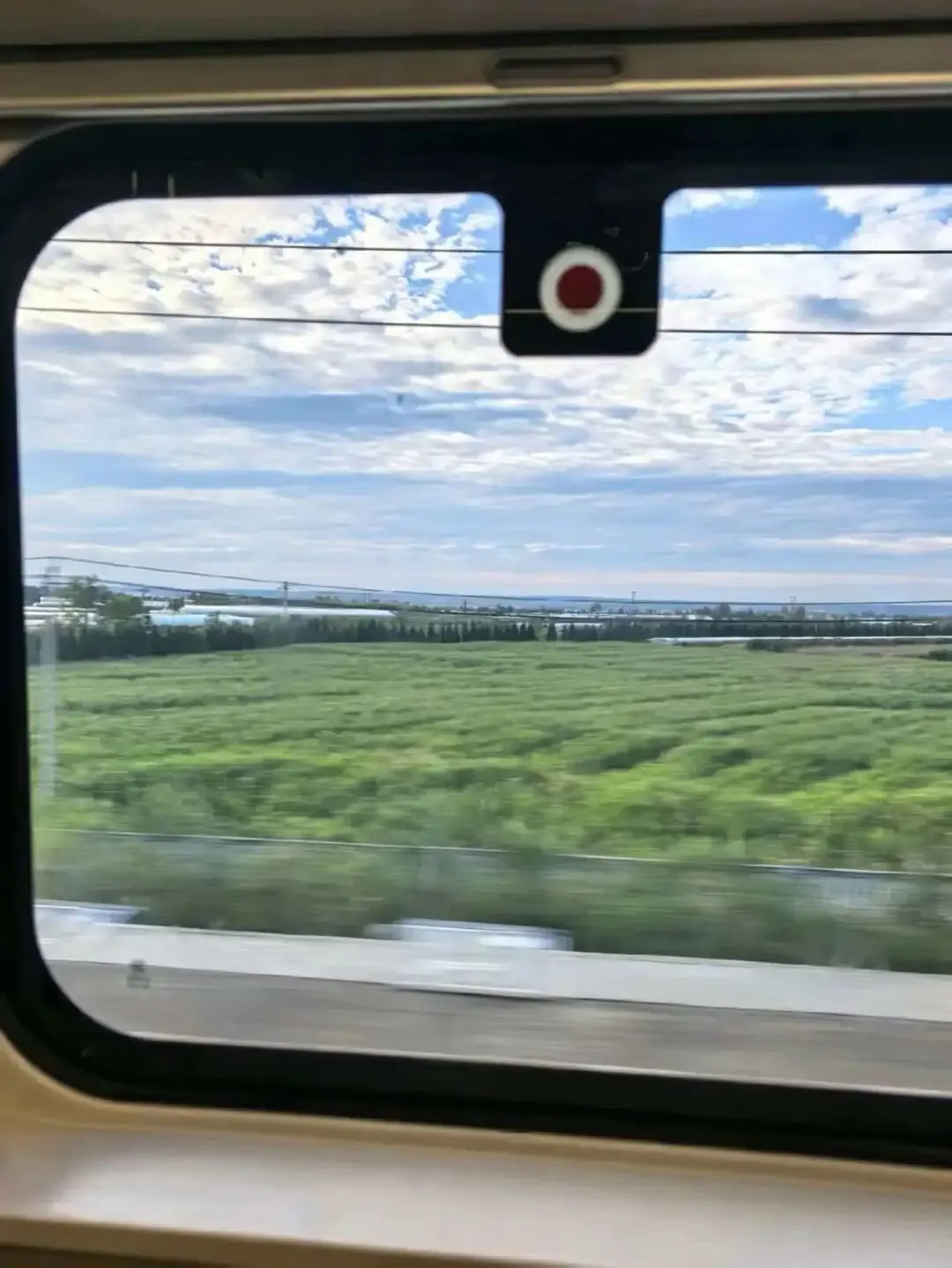 【青春投稿】从地理试卷到黄土蓝天:我用一支笔,把自己 ＂写＂ 到了大西北-第2张图片-四季读书网