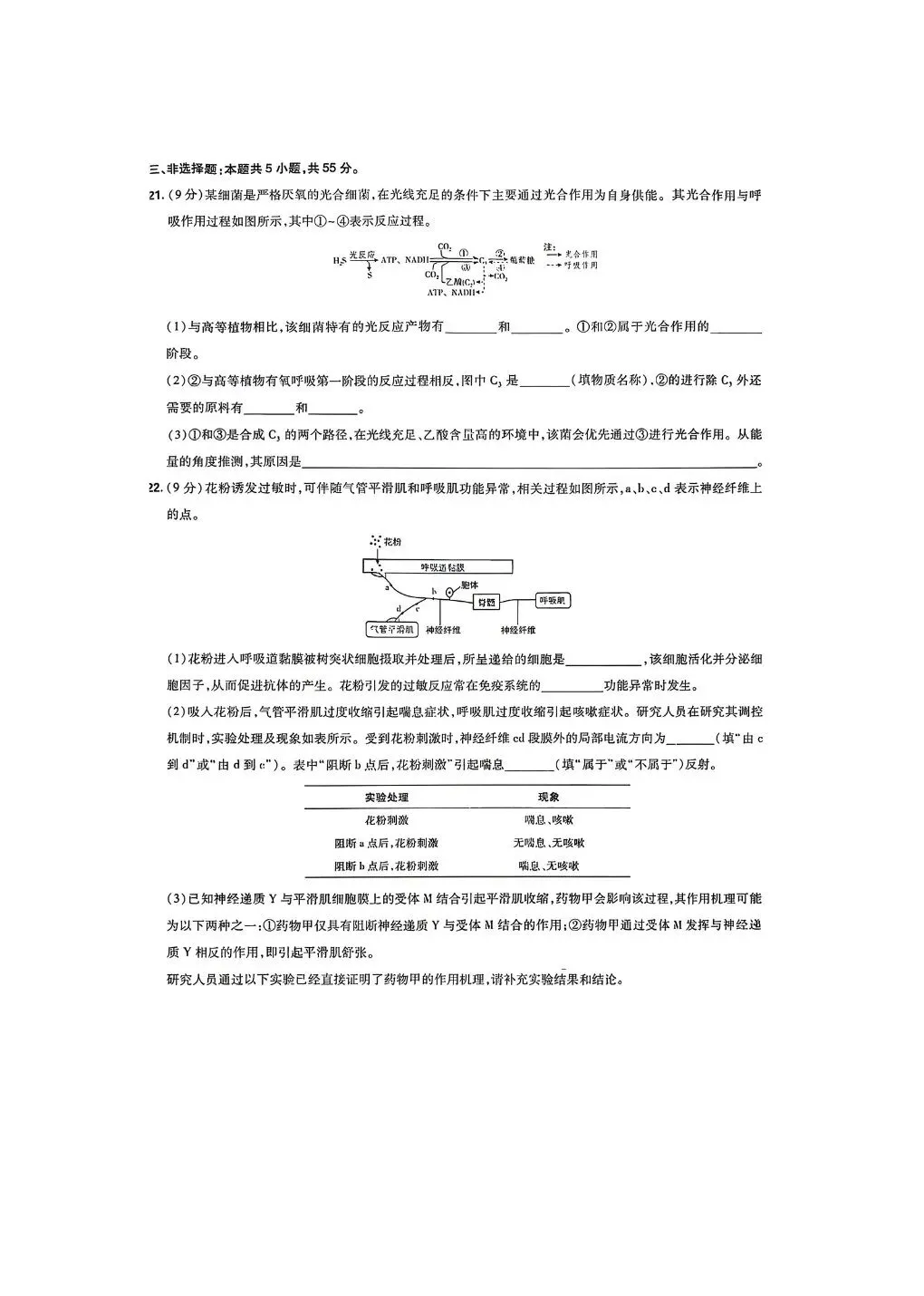 山东2026高考生物试卷-第5张图片-四季读书网