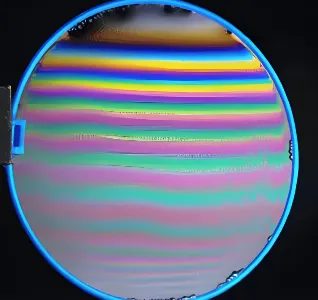 2026江苏高考生物真题与答案-第12张图片-四季读书网