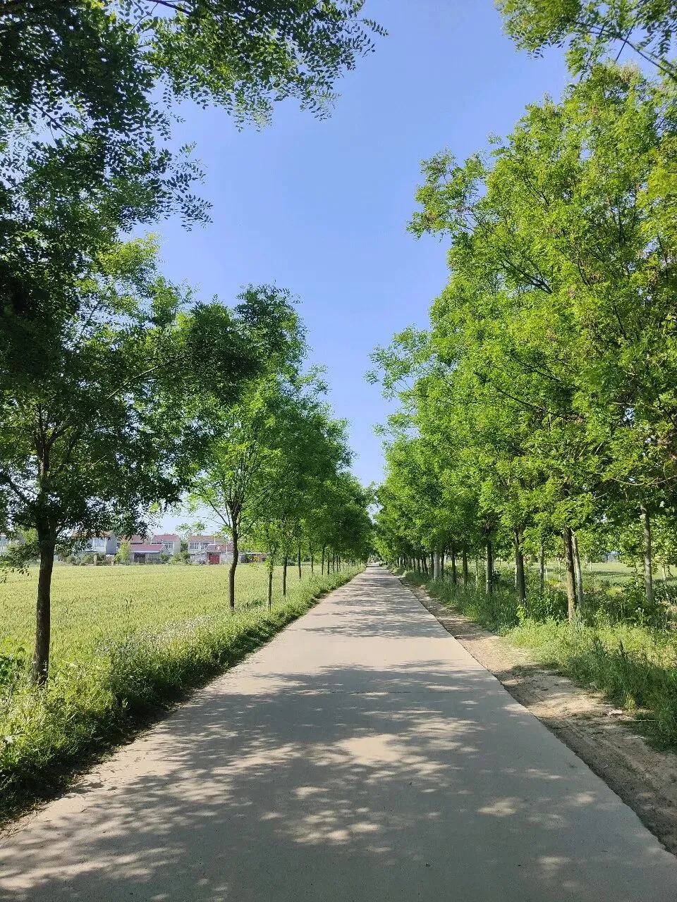 小升初数学应用题历年真题跟踪训练(含答案) V362-第6张图片-四季读书网