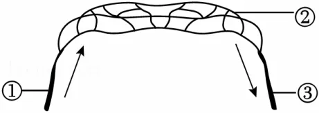 2026年福建省中考生物试卷-第5张图片-四季读书网