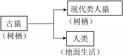 2026年福建省中考生物试卷-第6张图片-四季读书网