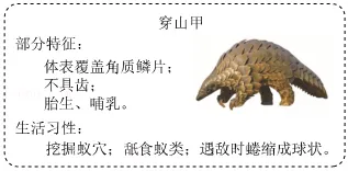 2026年福建省中考生物试卷-第9张图片-四季读书网