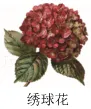 2026年福建省中考生物试卷-第12张图片-四季读书网
