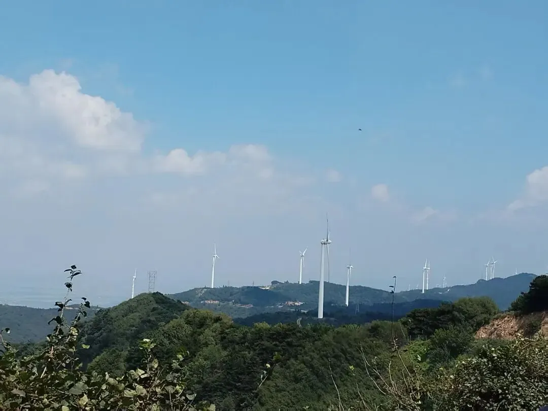 中考结束深夜骑车离家:暑假一场手机争执,戳中无数家庭的亲子困境-第1张图片-四季读书网