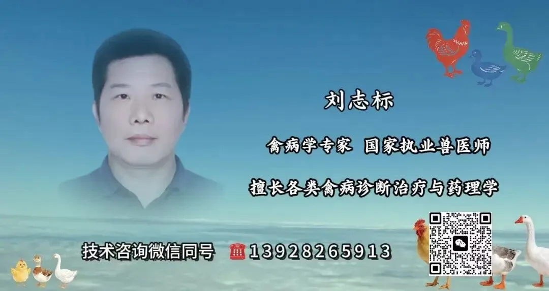 全套寄生虫执兽必考真题-第2张图片-四季读书网