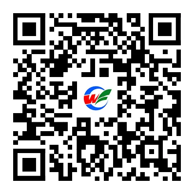 定了!潍坊市中考成绩今天上午公布-第10张图片-四季读书网
