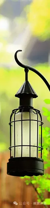 我不鸡娃,也不躺平:一个刚陪孩子走过中考的家长自白-第1张图片-四季读书网