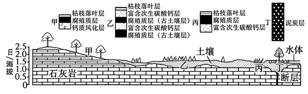 2026年高考真题地理之山东卷-第3张图片-四季读书网