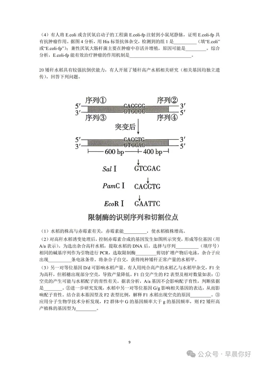 2026年四川高考生物真题及参考答案-第9张图片-四季读书网