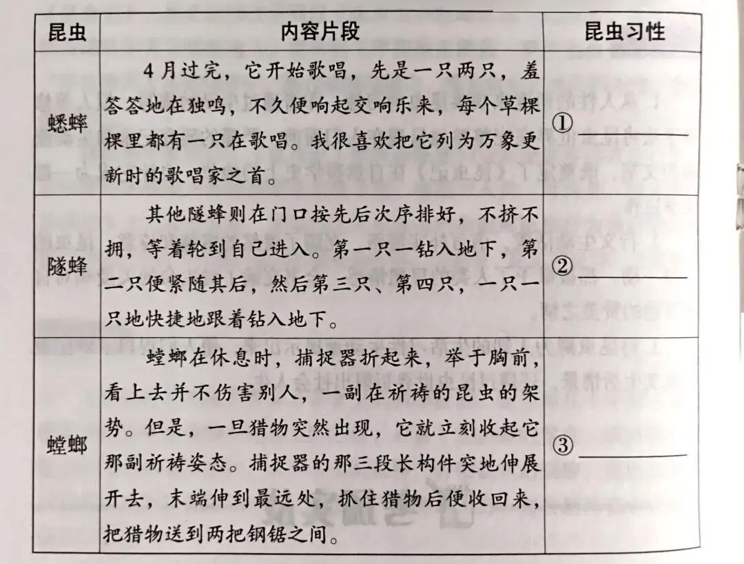 《昆虫记》中考真题及答案解析-第1张图片-四季读书网