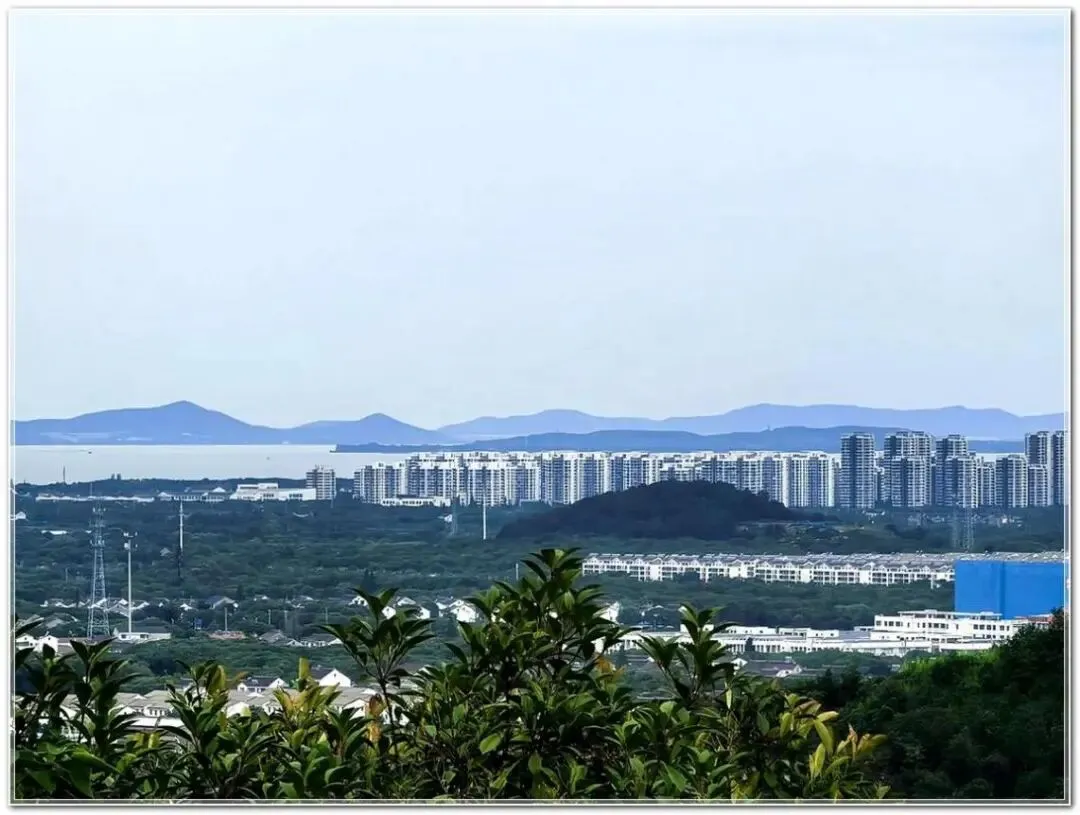 从“紧绷”到“失重”:中考后学生的心理图鉴与自我调适指南-第2张图片-四季读书网