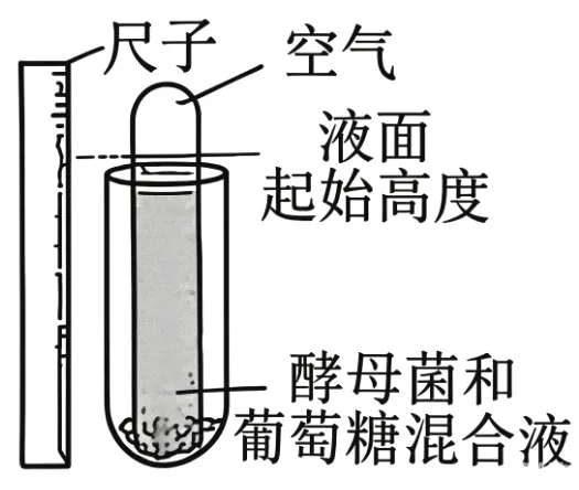 2026年河南省高考生物学真题、答案和解析、评析和备考策略(附word下载) ⊙-第8张图片-四季读书网