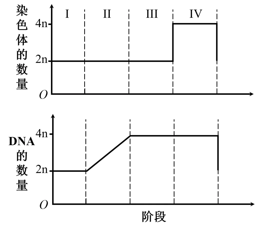 2026年河南省高考生物学真题、答案和解析、评析和备考策略(附word下载) ⊙-第9张图片-四季读书网