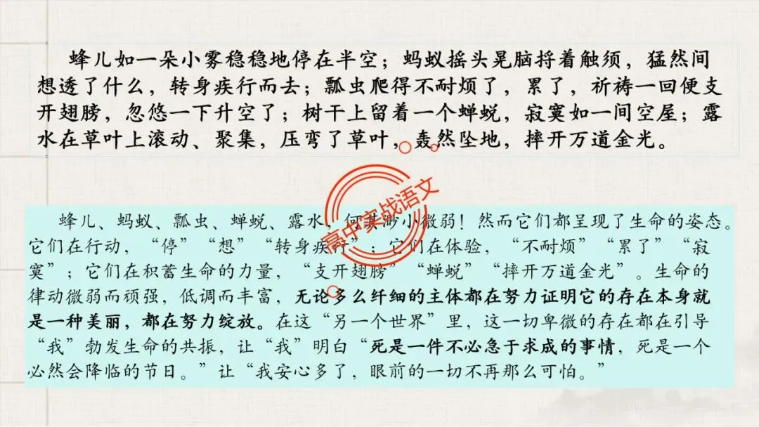 【对标近三年真题】高中语文统编教材【课内散文篇目考点】【逐课梳理】-第90张图片-四季读书网