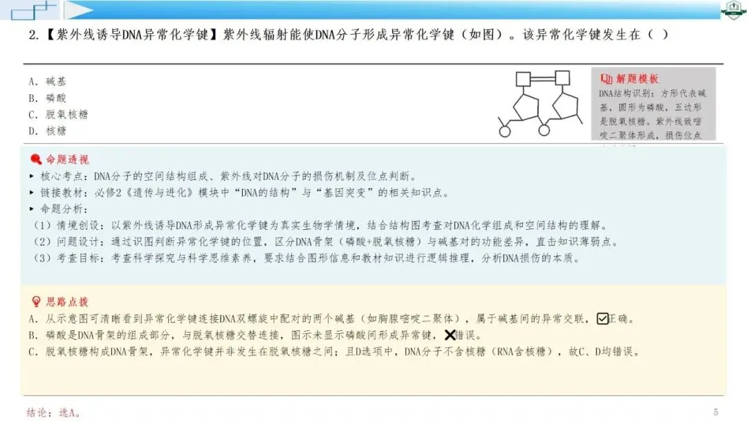 2026年高考生物真题综合评析系列课程-广东卷(配讲评稿)下载链接在结尾-第5张图片-四季读书网