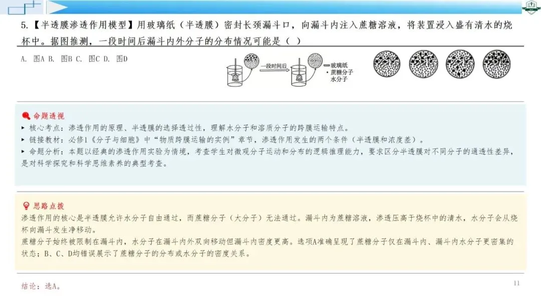 2026年高考生物真题综合评析系列课程-广东卷(配讲评稿)下载链接在结尾-第8张图片-四季读书网