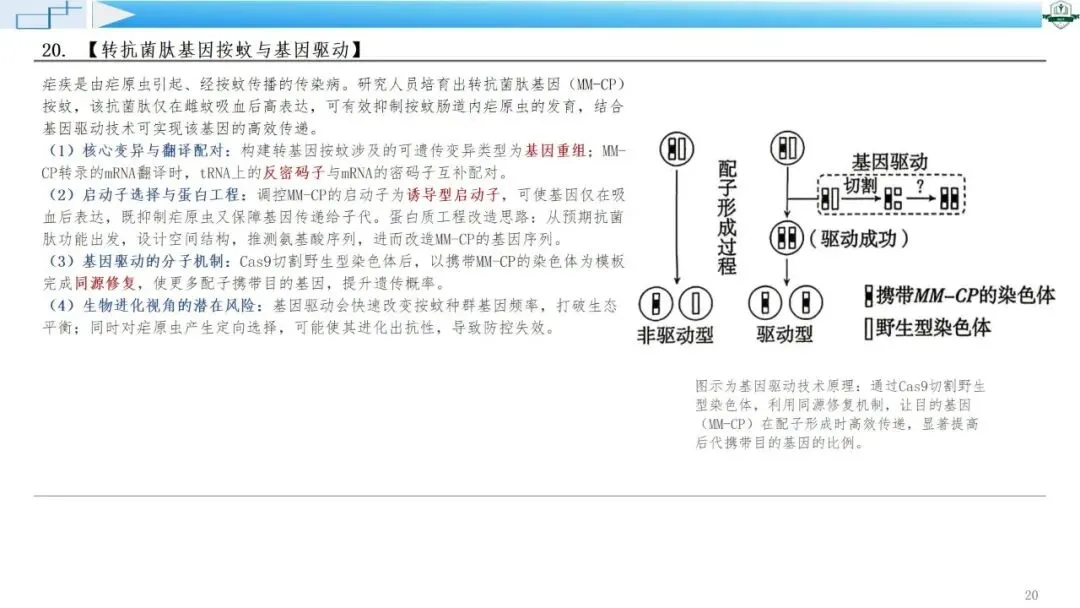 2026年高考生物真题综合评析系列课程-广东卷(配讲评稿)下载链接在结尾-第24张图片-四季读书网